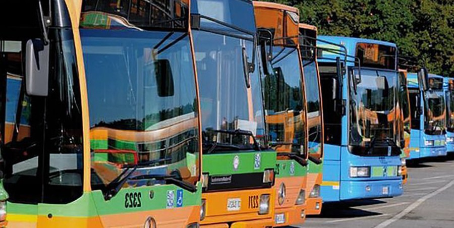 tpl bus autobus