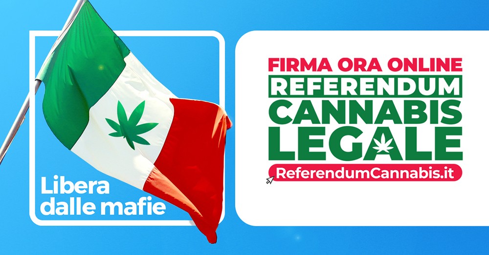 referendum per legalizzare la cannabis
